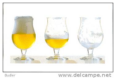 BELGIUM : 2006 : TRAVELLED LETTER + ORIG.CARD : BIER,BIERE,BEER,GLAS,VERRE,GLASS, - Bières