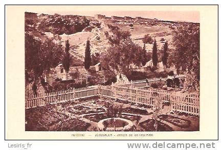 CP - PALESTINE - JERUSALEM - JARDIN DE GETHSEMANI - BRAUN & Cie - 1663 - Palästina