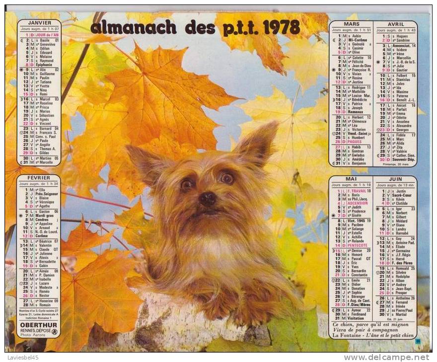 ALMANACH DES PTT -  DOUBLE-  ANNEE 1978 - CHAT/CHIEN - Photos Aarons - Formato Grande : 1971-80