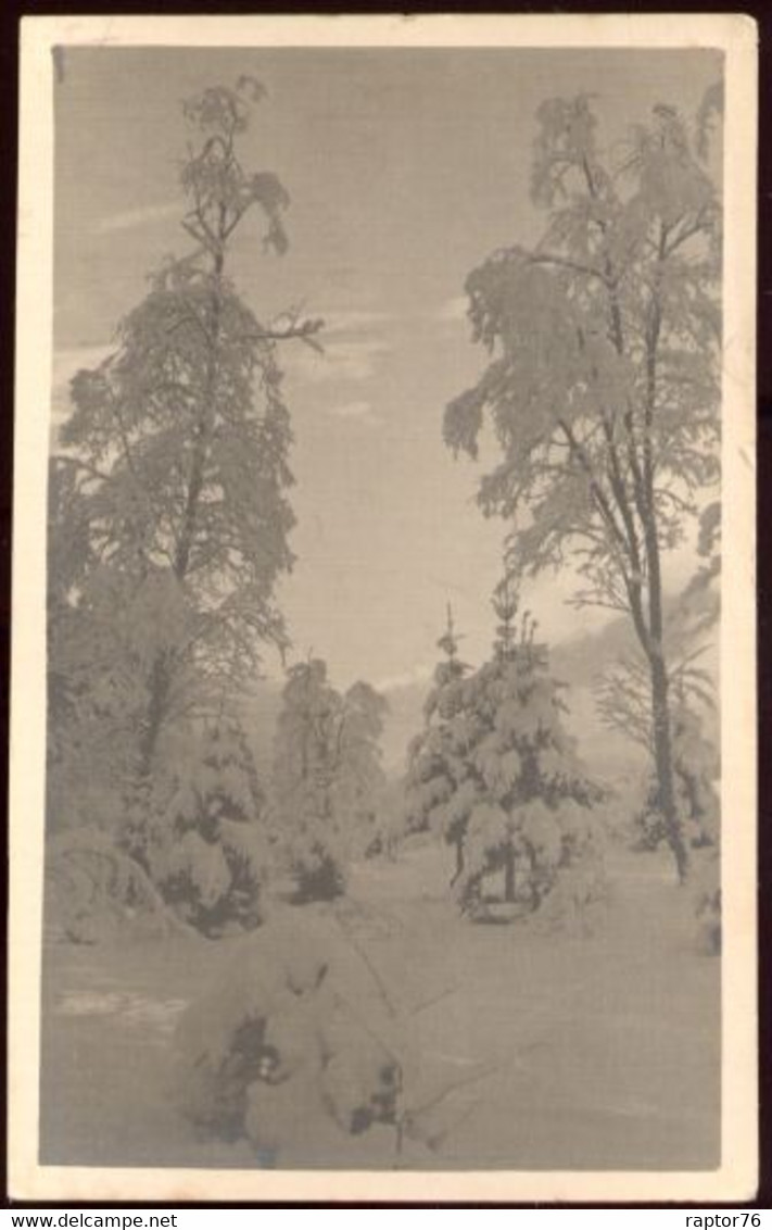 CPA Contre La Lumière Non écrite Paysage De Montagne En Hiver - Halt Gegen Das Licht/Durchscheink.