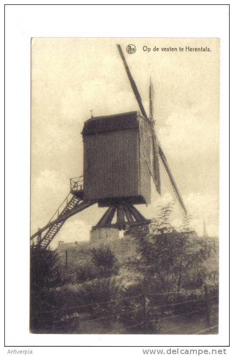 HERENTALS Molen Op De Vesten (ongelopen Perfecte Kaart) - Herentals