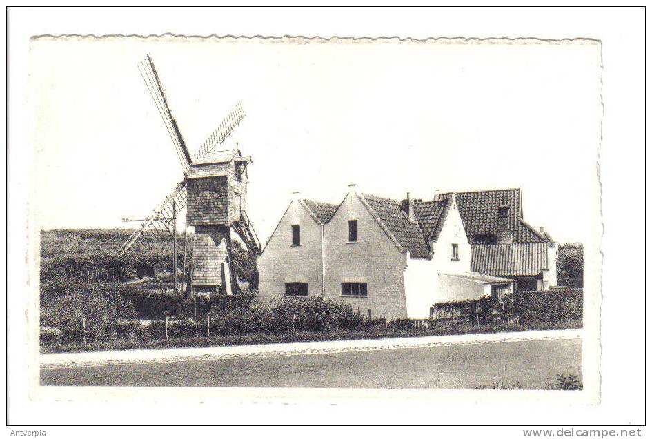 WENDUINE De Molen (ongelopen Perfecte Kaart) - Wenduine