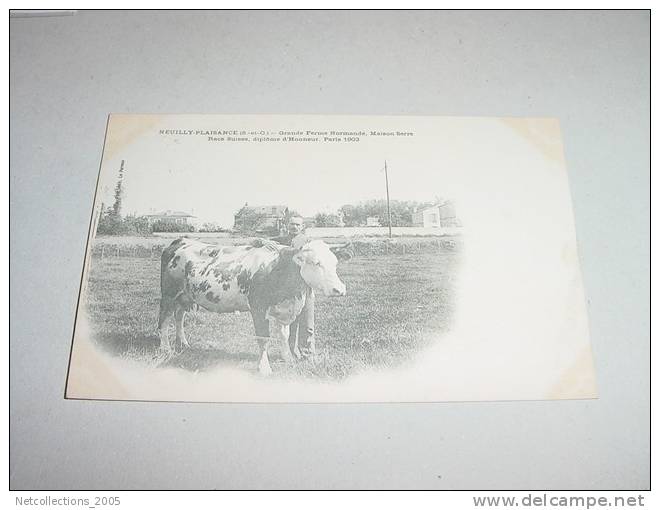 NEUILLY-PLAISANCE GRANDE FERME NORMANDE, MAISON SERRE, RACE SUISSE VACHE- 93 SEINE SAINT DENIS - Carte Postale De France - Neuilly Plaisance