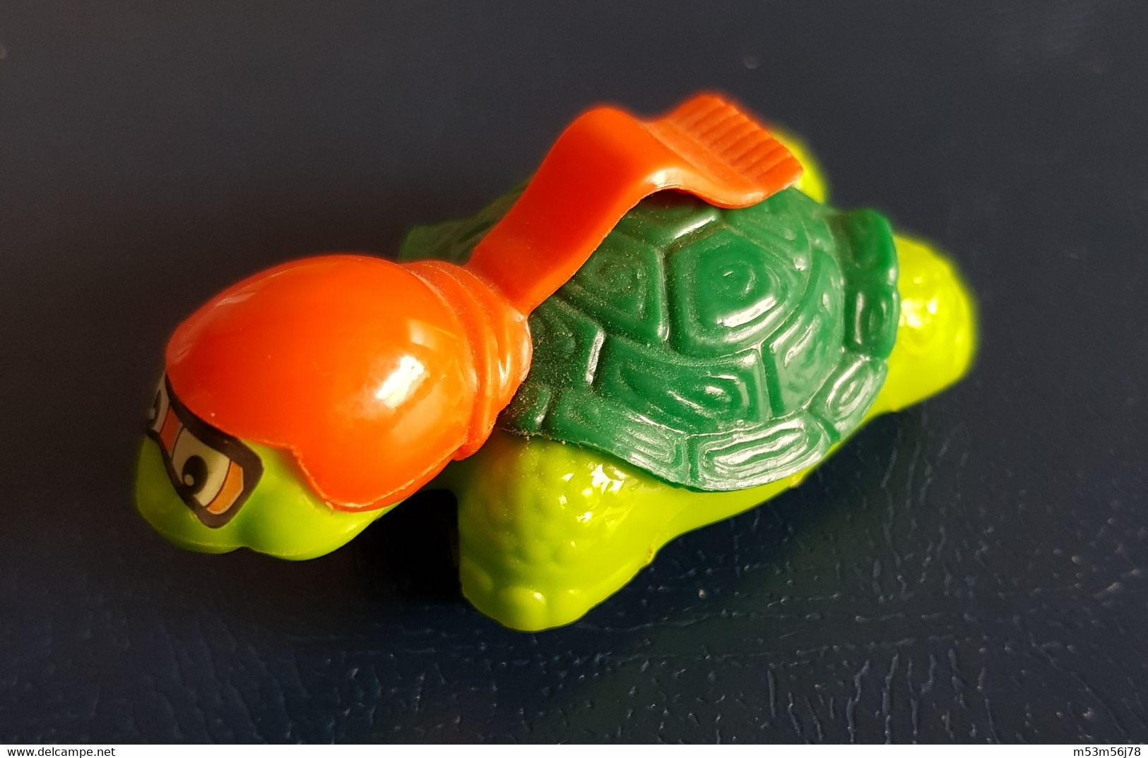 Die Flotte Schildkröte + BPZ - Maxi (Kinder-)