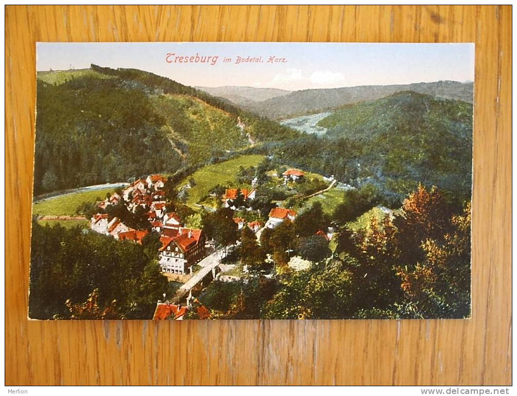 Treseburg Im Bodetal Harz   1915-  D2576 - Blankenburg