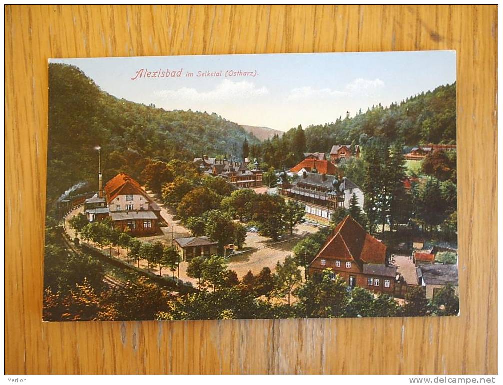 Alexisbad Im Selketal Ostharz  1915-  D2577 - Oberharz