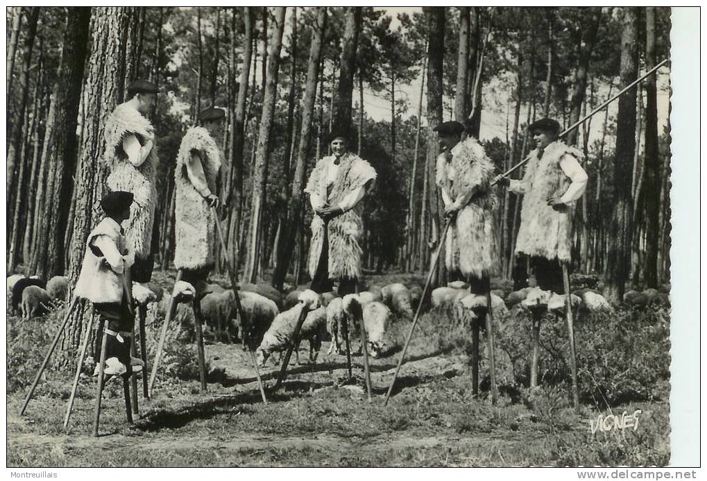 Bergers Sur échasses, Visage Des Landes, Carte écrite, Timbrée - Andere & Zonder Classificatie