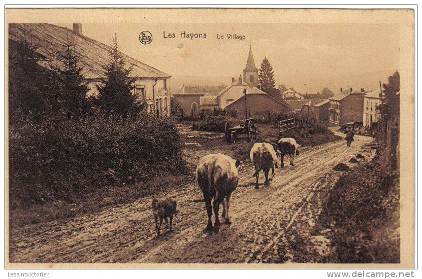 LES HAYONS BOUILLON LES VACHES ET LE CHIEN - Bouillon