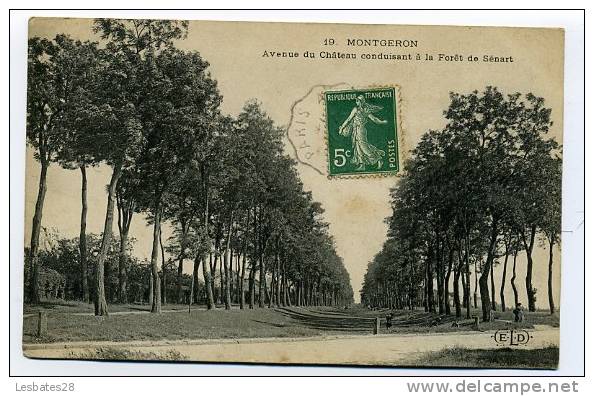 CPA 91.-MONTGERON.-Avenue Du Château Conduisant à La Forêt De Sénart.-Pte Animation(QSD 125) - Montgeron