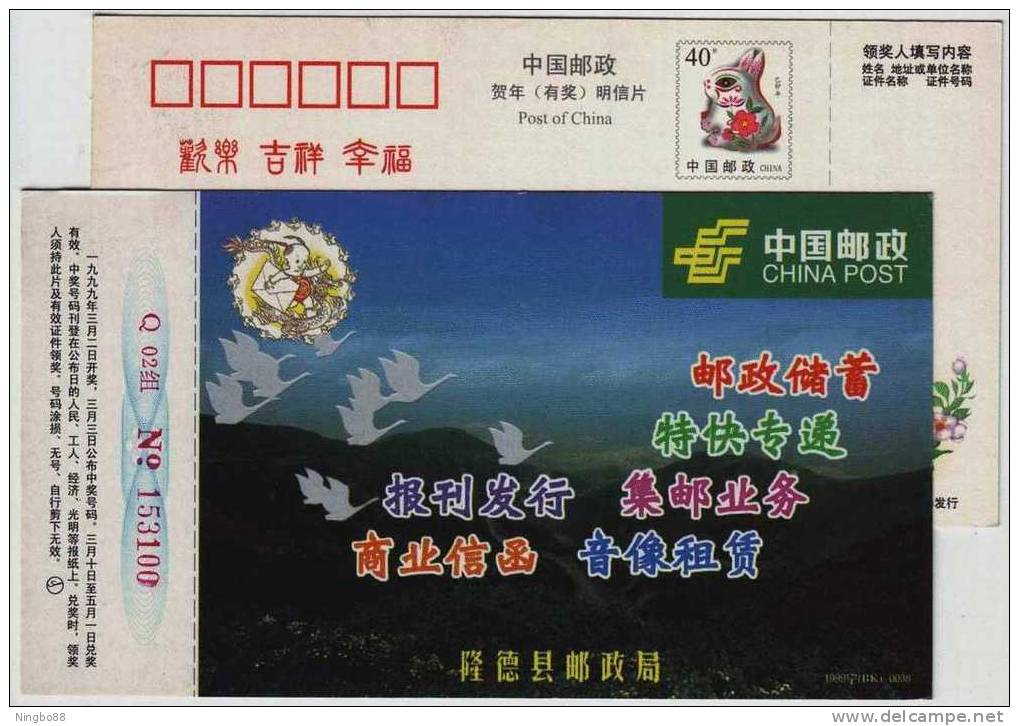Swan Goose,bird,China 1999 Delong Post Business Advertising Pre-stamped Card,some Yellow Spot On Inverse Side - Oies