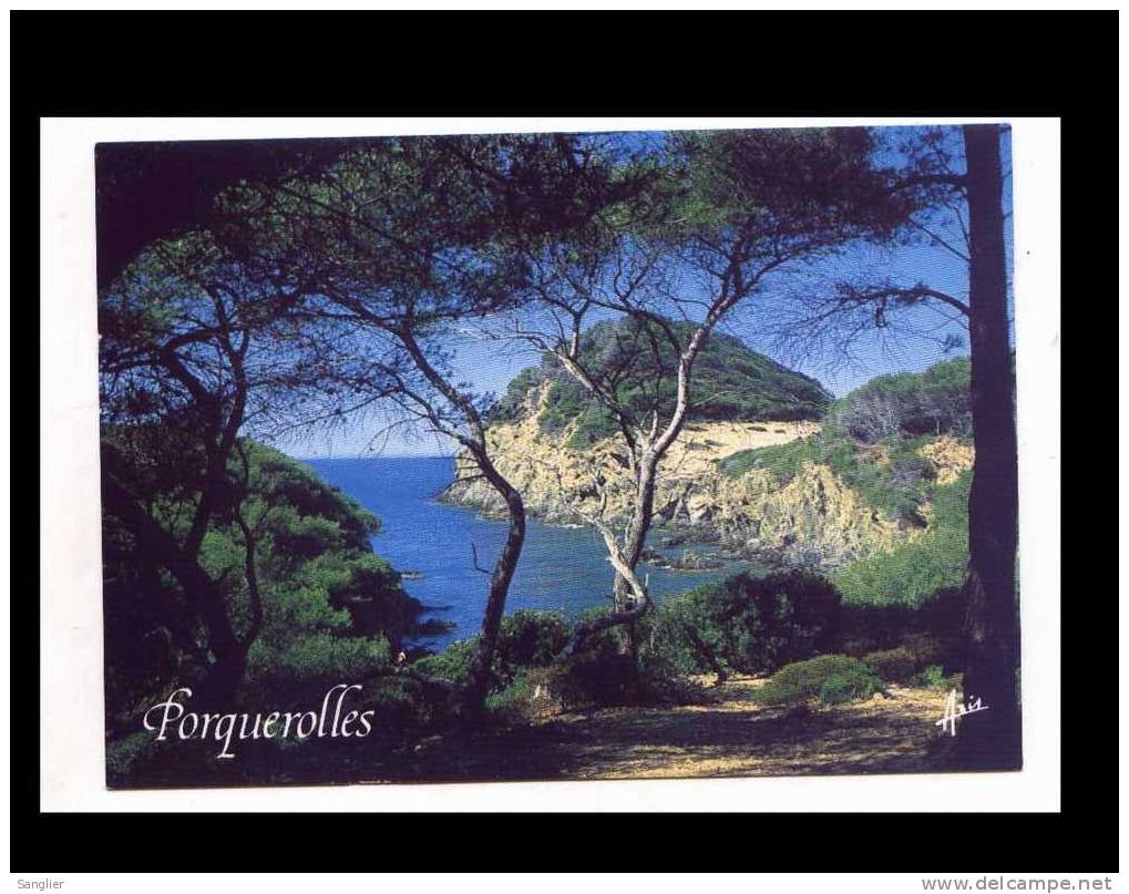 ILE DE PORQUEROLLES N° 16479 - LE BREGANCONNET - Porquerolles