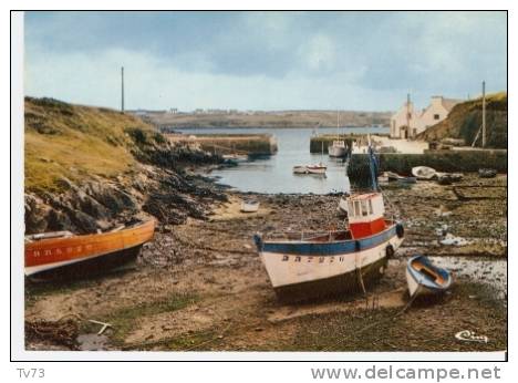 Cpc 856 - OUESSANT - Le Port De Lampaul à Marée Basse (29 - Finistère) - Ouessant