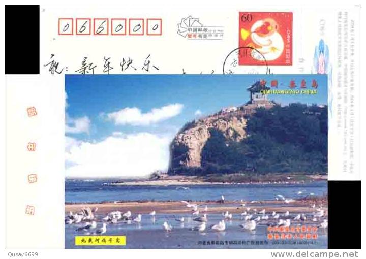 Seagull, Bird, Tower, Postal Stationery,  Pre-stamped Postcard - Mouettes