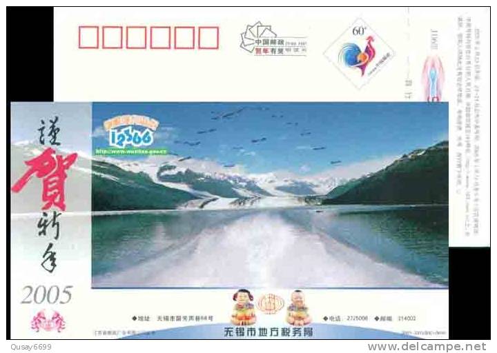 Lake, Bird, Forest, Postal Stationery,  Pre-stamped Postcard - Kranichvögel