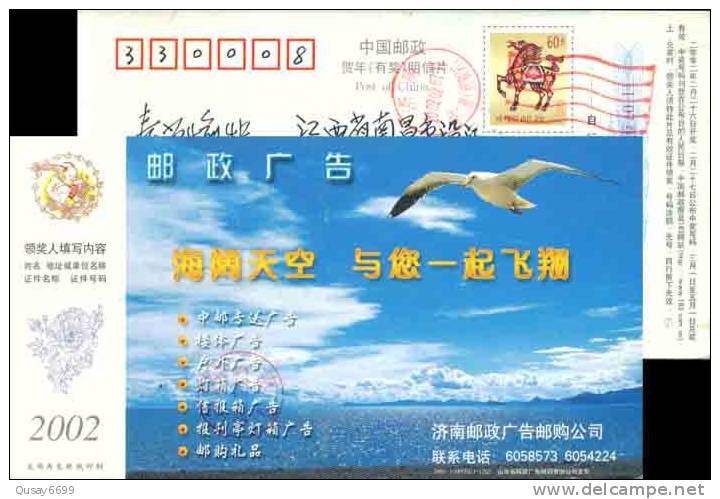 Post AD,  Bird, Seagull,  Postal Stationery,  Pre-stamped Postcard - Seagulls