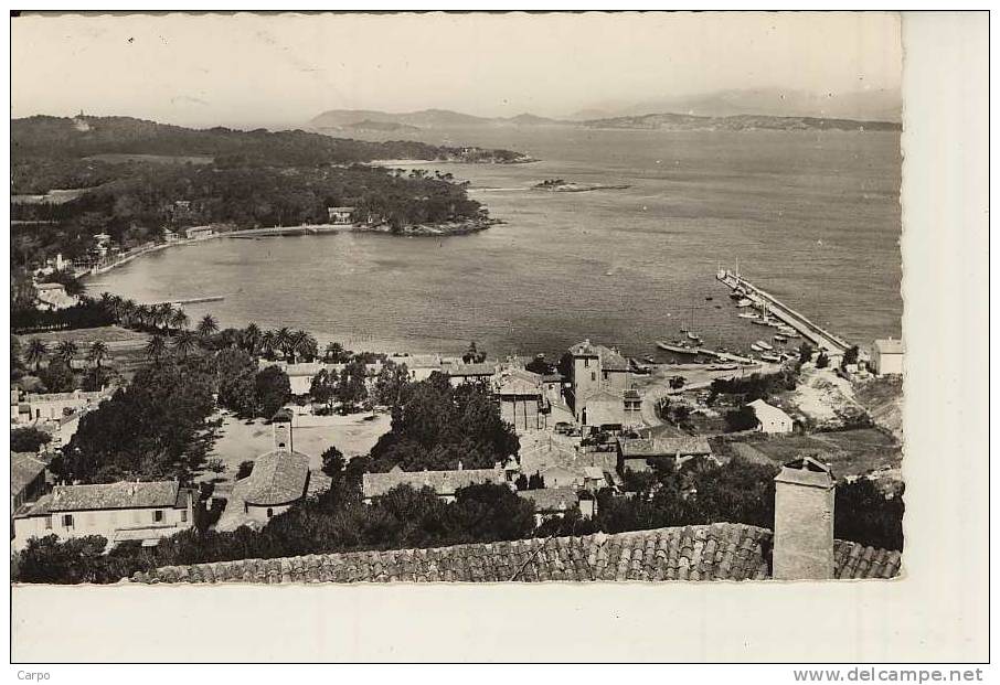 PORQUEROLLES - Vue Panoramique. - Porquerolles