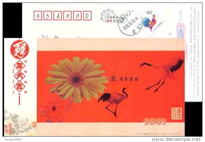 Flower Crane  Bird Postal Stationery,  Pre-stamped Postcard - Kranichvögel