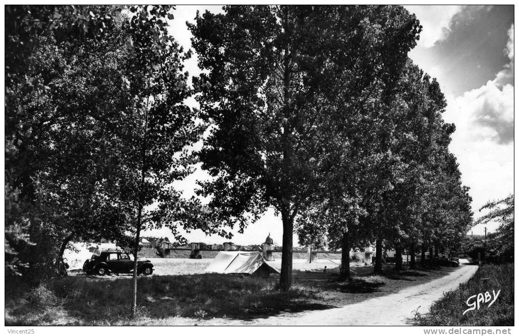 Jargeau.le Camping  Photo Veritable.1950 - Jargeau