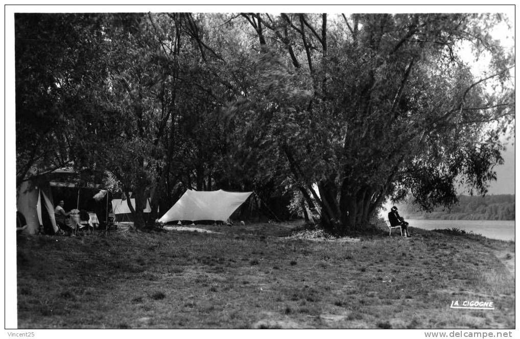 Jargeau.le Camping  Et La Loire . Photo Veritable.1950 - Jargeau