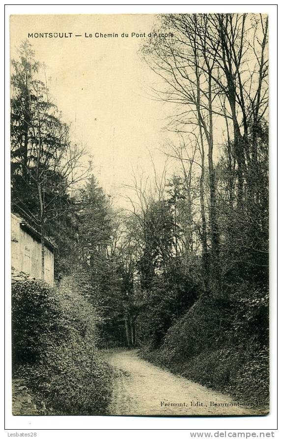 CPA 95.-MONTSOULT.-Le Chemin Du Pont D'Arcole.-(qsd 183) - Montsoult