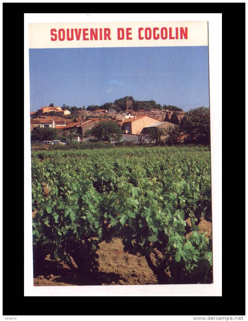 COGOLIN N° 65.2 - VUE GENERALE PRISE D'UN VIGNOBLE - Cogolin