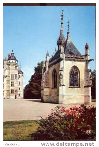 CPM MEILLANT Le Château, La Chapelle Et La Tour Du Lion - Meillant