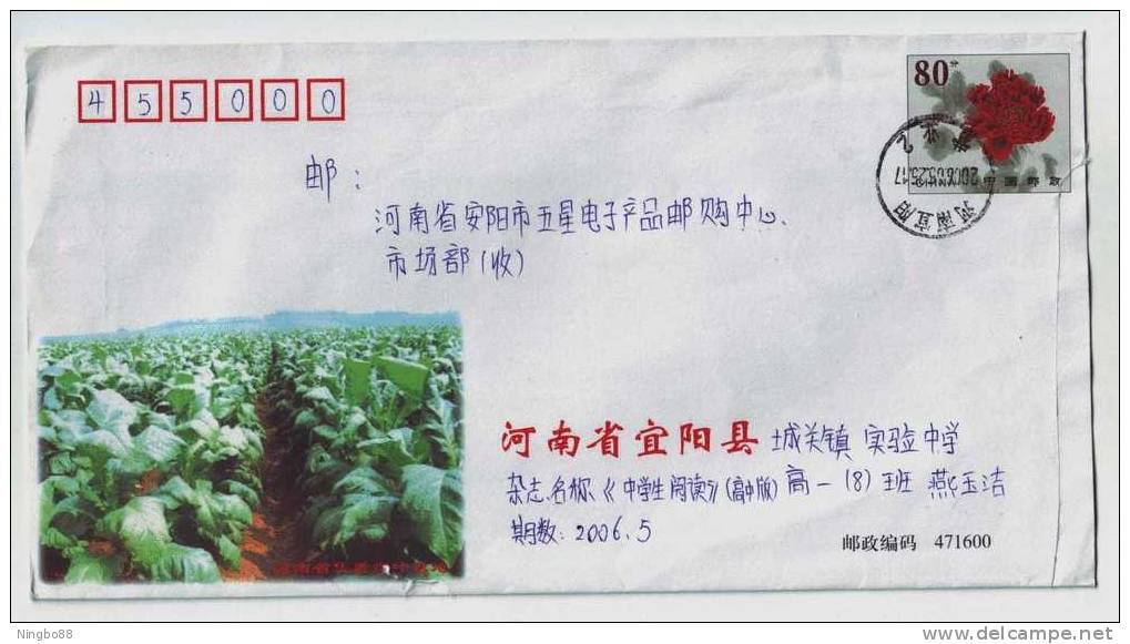 Yiyang Tobacco Field,China 2002 Henan Province High Quality Tobacco Base Postal Stationery Envelope - Tabacco