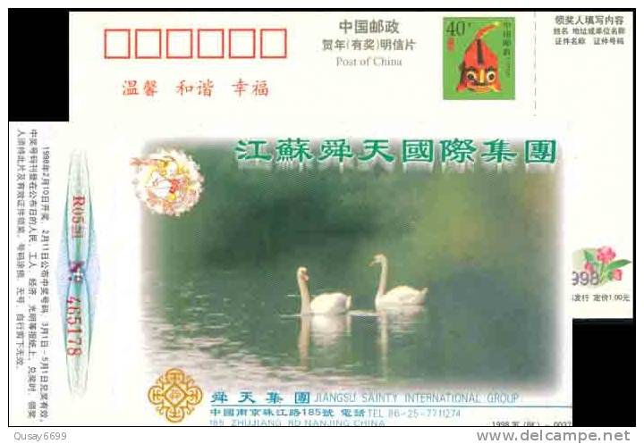 Swan Bird  Postal Stationery,  Pre-stamped Postcard - Cygnes