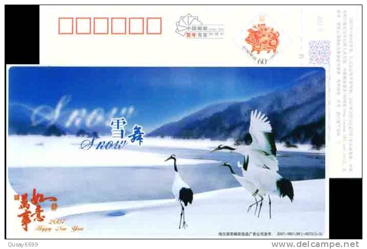 Crane Bird  Postal Stationery,  Pre-stamped Postcard - Kranichvögel