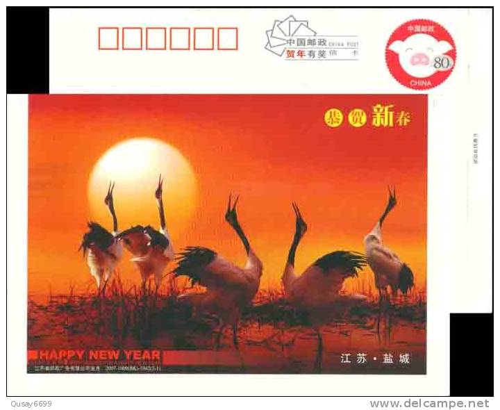 Crane  Bird  Postal Stationery,  Pre-stamped Postcard - Cranes And Other Gruiformes