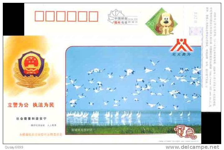 Crane  Bird  Postal Stationery,  Pre-stamped Postcard - Cranes And Other Gruiformes