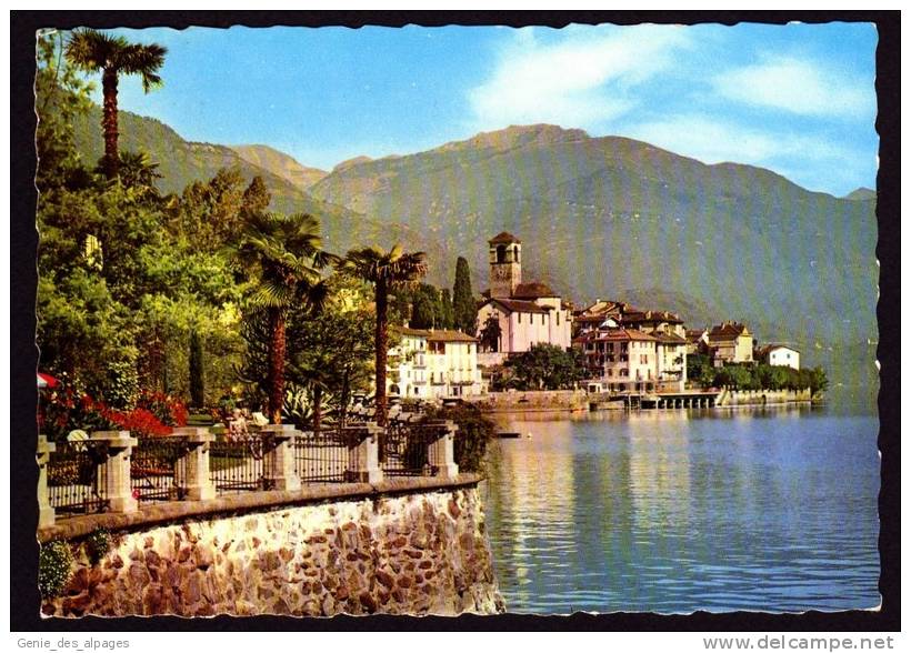 Suisse, BRISSAGO, Lac Majeur, Reflet,  CPSM 10x15, éd. Von Känel, Voyagé En 1985, Bon état - Brissago