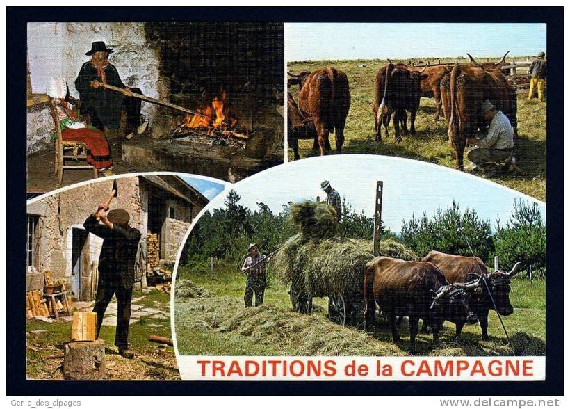 15, Traditions De La Campagne, CPSM Toilée, Veillée Au Cantou, Traite Au Parc, Bucheron, Fenaison, éd BOS, Circulé 1990 - Attelages