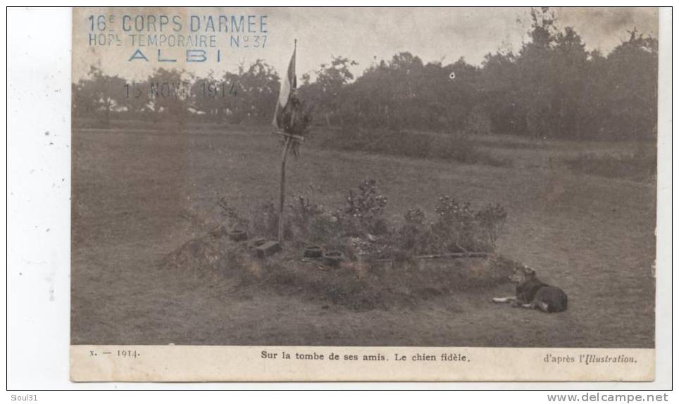 16° CORPS D ARMEE HOPITAL TEMPORAIRE N° 37 ALBI SUR LA TOMBE DE SES AMIS CHIEN FIDELE - Red Cross