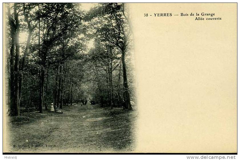 Belle CPA Neuve - Yerres - Bois De La Grange - Allée Couverte - Yerres