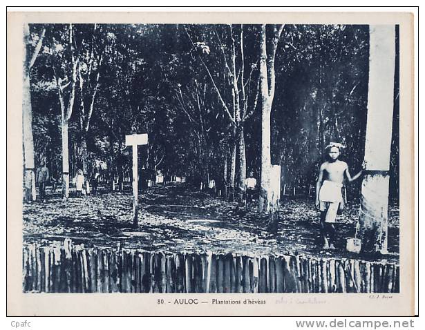 AULOC : Plantation D'Hévéas / Cl. J. Boyer / Série : "Les Colonies Françaises" - Altri & Non Classificati