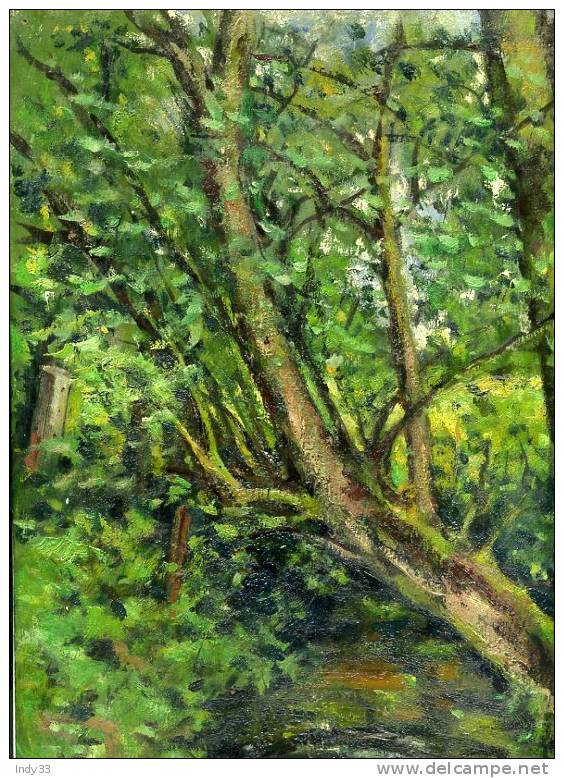 - SOUS-BOIS . HUILE SUR BOIS . MONOGRAMMEE EN BAS A GAUCHE ? - Oils