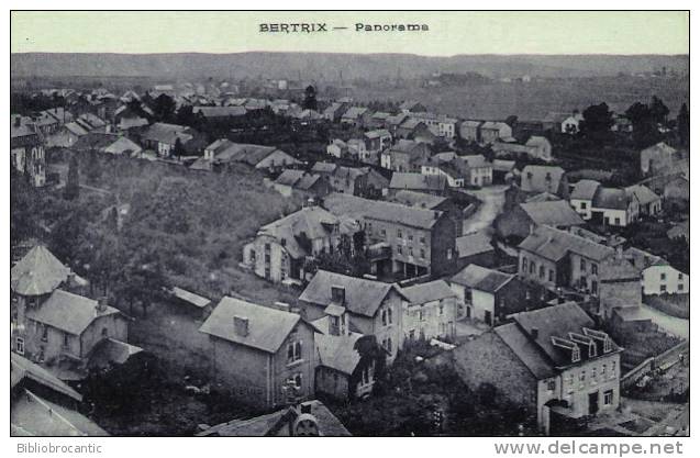 BELGIQUE - BERTRIX - BEAU PANORAMA - Bertrix