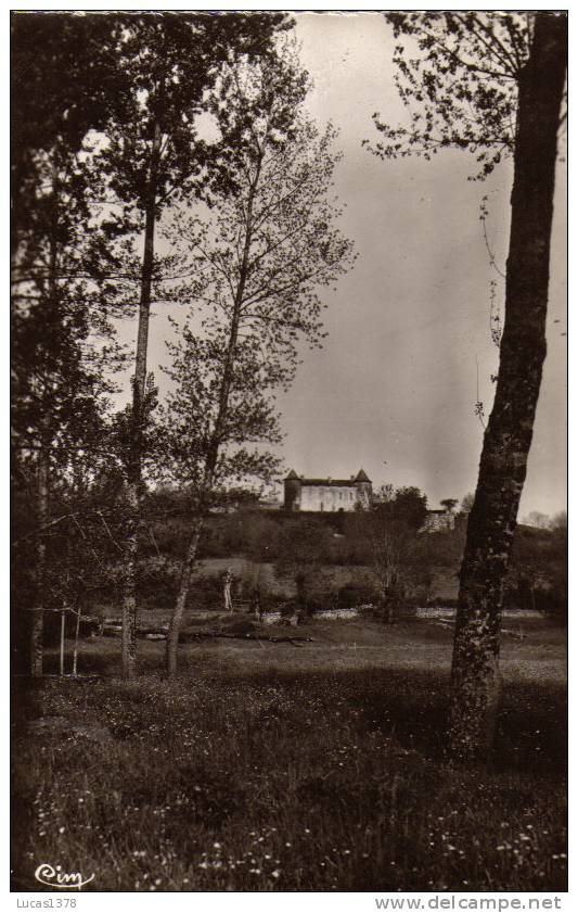 79 / ENVIRONS DE CHAMPDENIERS / CHATEAU DE LA PIMPELIERE A ST OUENNE - Champdeniers Saint Denis