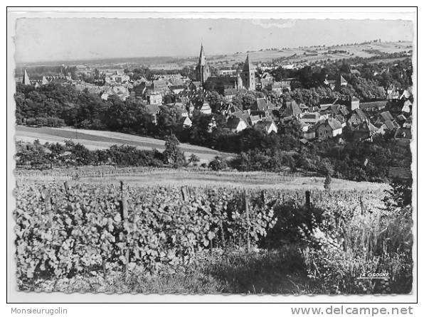 67 ) FL ) WISSEMBOURG, Vue Générale,  CPSM N&B Grand Format, Ed Cigogne - Wissembourg