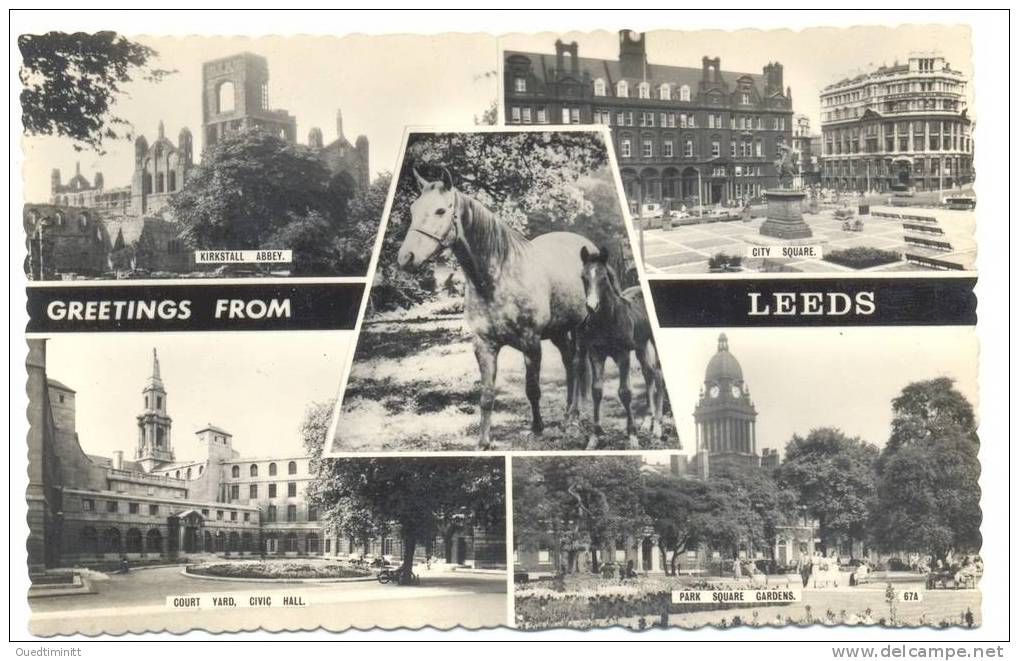 Greetings From Leeds. - Pferde