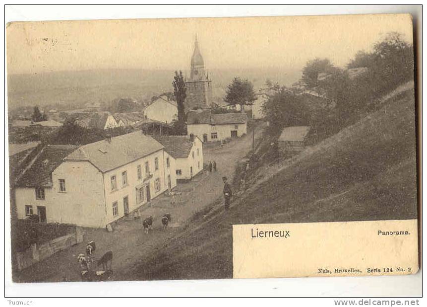 C961 - LIERNEUX - Panorama - Nels Série 124 N°2 - Lierneux