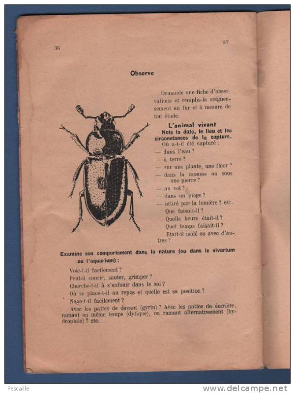BIBLIOTHEQUE DE TRAVAIL MARS 1954 - ETUDE DES INSECTES - ENTOMOLOGIE - Animaux