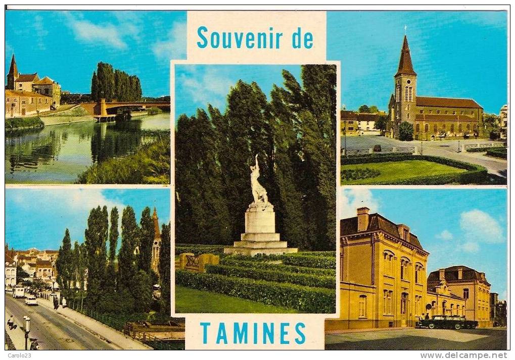 SOUVENIR  DE  TAMINES  :   MULTIVUES - Fleurus