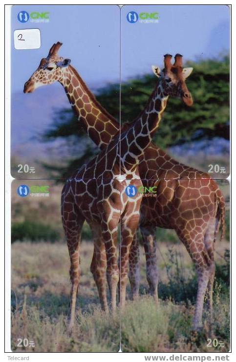 GIRAFFE Girafe Giraf Animal Tier (2) Puzzle Of 4 Phonecards - Puzzles