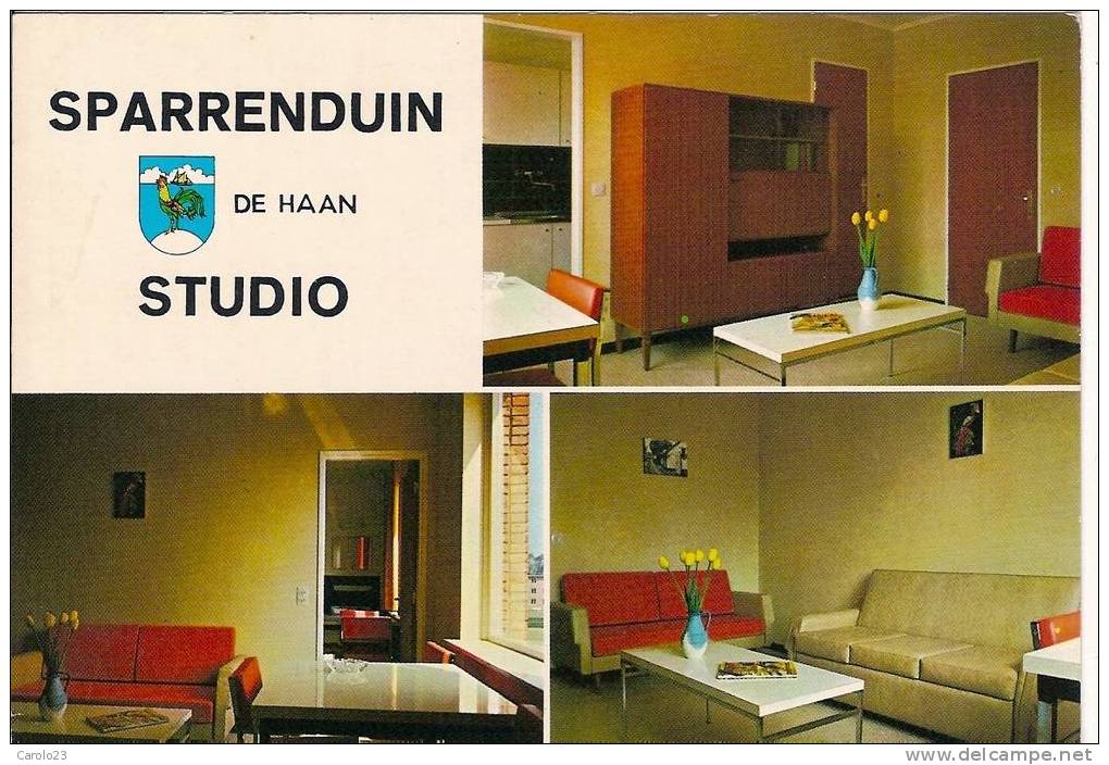 DE  HAAN  :  SPARRENDUIN  - COPMANLAAN    -  STUDIO - De Haan