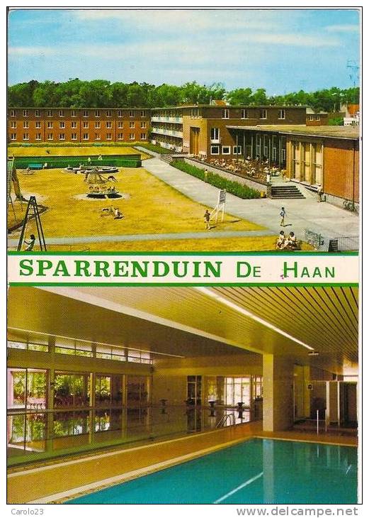 DE  HAAN  :  SPARRENDUIN  - COPMANLAAN    -  2 VUES - De Haan
