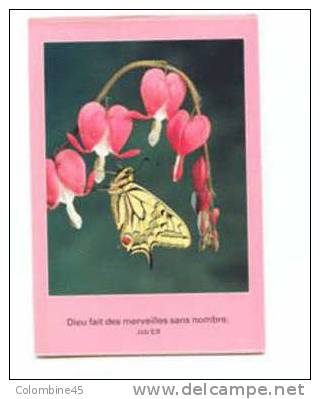 Cpm Papillon Butterfly - Insectos