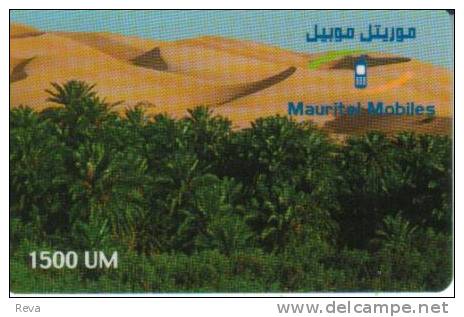 MAURITANIA  1500 U  PALMS OASIS LANDSCAPE  GSM  MOBILE ED.31/12/01  READ DESCRIPTION !! - Mauritanië