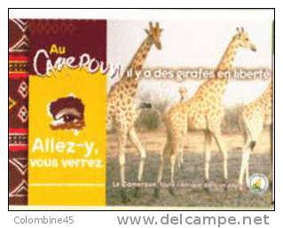 Cpm Pub Girafe Cameroun - Girafes